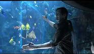 Samsung 3D LED TV "Aquarium" :60TV