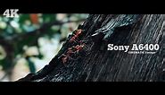 Sony A6400 Cinematic Video Test 4k
