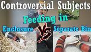 Con-Sub: Feeding in the Enclosure vs Separate Bins