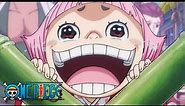 The Truth of SMILE | One Piece