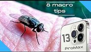 8 tips for macro photography with iphone 13 in 2022