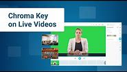 How to replace your background on live videos | Chroma Key Tutorial | ManyCam 7