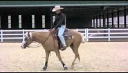 Teaching neck reining