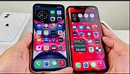 iPhone 11 vs iPhone XR: Worth the Upgrade? (Review)