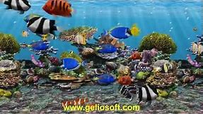 3D Fish School Screensaver, Tropical Fish Swimming Free on Desktop Aquarium Windows 10