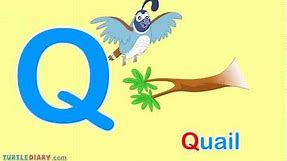 What Words Start With Letter Q? *Words For Toddlers*