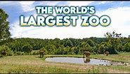 Welcome to the World's Largest Zoo!