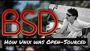 The Making of BSD: The ACTUAL World's First Open-Source Operating System?