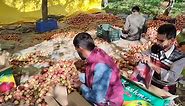 Kashmiri red apple packing -- Do enjoy the delicious taste of Kashmiri Apples. Watch, like, share, follow page & send stars on video