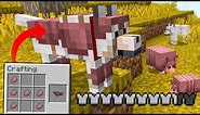 How to Get WOLF ARMOR in Minecraft! (Bedrock and Java)