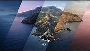 Catalina | MacOS Dynamic Wallpaper | 4K 60
