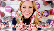 How are Candy Canes made? | Maddie Moate