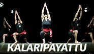 Kalaripayattu performance/show - FOR BOOKING +91 9711804975