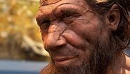 Who were the Neanderthals?