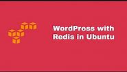 Wordpress Setup With Redis