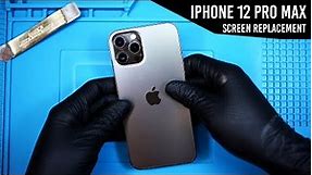 iPhone 12 Pro Max Screen Replacement | Guide | 1-Year Later, I didn't rip something like last time