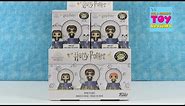 Harry Potter Funko Pop Mystery Minis Snow Globes Blind Bag Unboxing | PSToyReviews