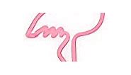 Amped & Co - Flamingo Neon Desk Light, 17" x 6.7" - Flamingo Party Decorations, Pink Neon Signs Decorations - Flamingo lamp, Pink LED sign, Flamingo light