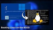 Booting Linux on the BSOD