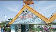 Southend 'Sea life Adventure' ⭐Top Attraction!⭐