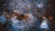 The Large Magellanic Cloud (LMC) Seyfert Galaxy
