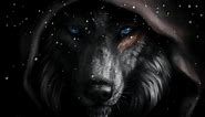 Black Wolf Face Live Wallpaper - MoeWalls