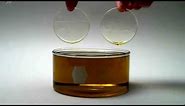 Aculon Oleophobic Coating-Lenses Dipped in Oil
