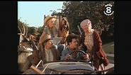 The Beverly Hillbillies 1993 film