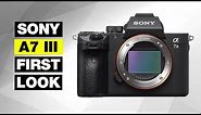 Sony A7 III Hands-On Review and Video Test