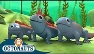 @Octonauts - The Marine Iguanas | Full Episode 41 | Cartoons for Kids | Underwater Sea Education