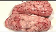 Deep-Fried Brains - How To
