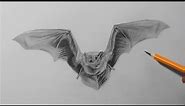 How to Draw a Vampire Bat | HB Pencil Drawing