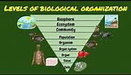 SCIENCE 7: LEVELS OF BIOLOGICAL ORGANIZATIONS, THE SPECTRUM OF BIOLOGICAL ORGANIZATION