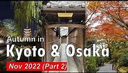 Autumn in Kyoto & Osaka | Japan Travel