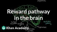 Reward pathway in the brain | Processing the Environment | MCAT | Khan Academy