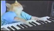 Keyboard Cat 10 Hours