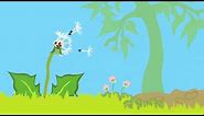 Dandelion life cycle animation
