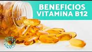 ¿Para Qué SIRVE la VITAMINA B12? 🧬 (¿A qué Ayuda la Vitamina B12)