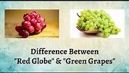 Difference Between Red Globe and Green Grapes | Red or Green? Unveiling the Grape Debate