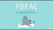Pokáč - Antarktida [official lyric video]