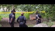 Gruesome decomposing body of Black woman discovered near Bronx River Parkway