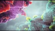 Gamma Delta T-Cell Therapy Animation
