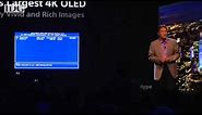 CES2013: Sony's 4K OLED blue screens during CES presentation