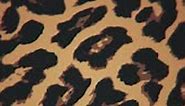 Vertical Video - Leopard Print Motion Background