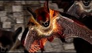 Animated Token: Vampire Bat Swarm