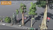 Tree Size Comparison