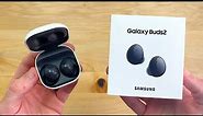 Samsung Galaxy Buds 2 Unboxing & First Impressions!