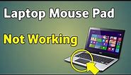 Laptop Mouse Pad Not Working Windows 10 | How To Fix Laptop Mouse Pad Not Working