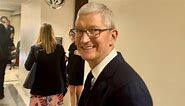 Apple CEO Tim Cook calls AI a 'huge opportunity' while visiting Capitol Hill