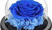 DuHouse Forever Roses Preserved Real Flowers Eternal Enchanted Rose Flower Box for Valentines Birthday Anniversary Mother's Day Christmas (Klein Blue)
